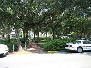 Savannah - Aug 2007 - 058